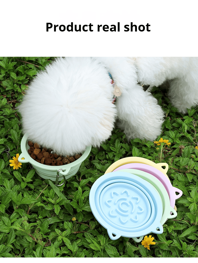 3 - in - 1 Pet Travel Collapsible Bowl Foldable Slow - Feeder With Strong Suction Cups Portable Silicone Dog Bowl with Hook for Hanging on Collar/Backpack - Dog Time Outlet