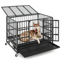 38 Inch Foldable Heavy - Duty Metal Dog Cage with Lockable Rolling Casters and Tray - Dog Time Outlet