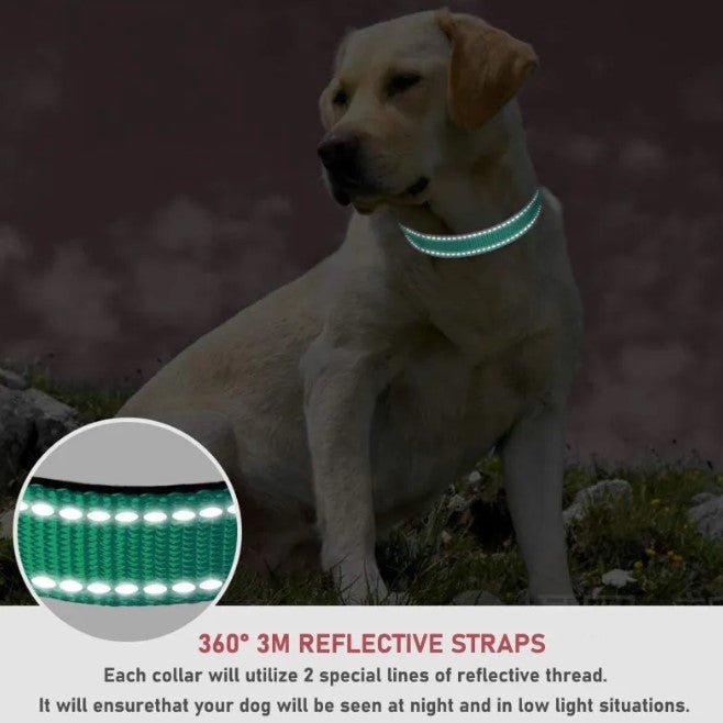 Adjustable Chest Strap Dog Collar - Dog Time Outlet