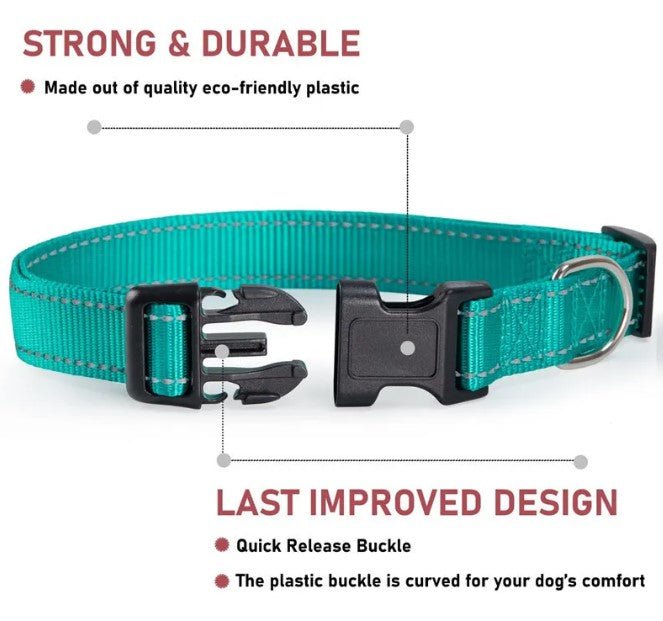 Adjustable Chest Strap Dog Collar - Dog Time Outlet