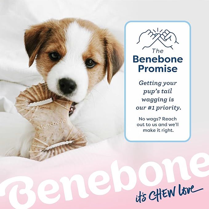 Benebone Puppy 2 Pack Dental Chew Dog Chew - Dog Time Outlet