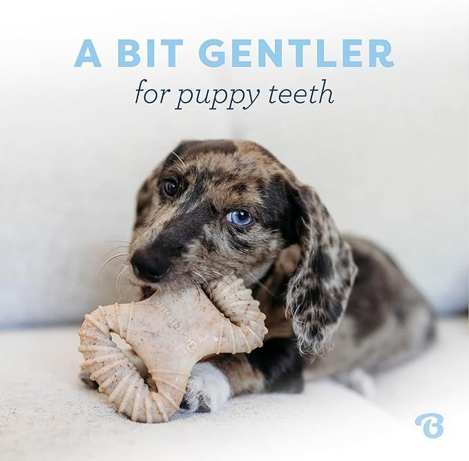 Benebone Puppy 2 Pack Dental Chew Dog Chew - Dog Time Outlet