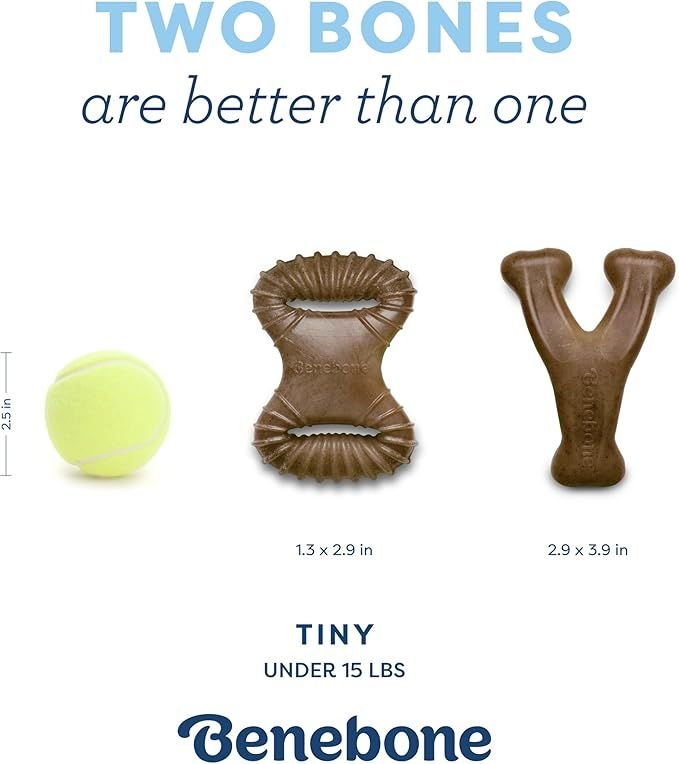 Benebone Puppy 2 Pack Dental Chew Dog Chew - Dog Time Outlet
