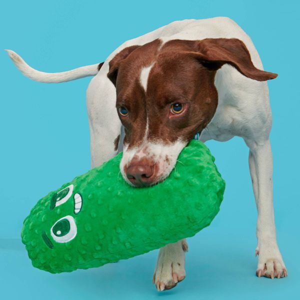 Big Dill Bill Pickle Dog Toy - Green - Dog Time Outlet