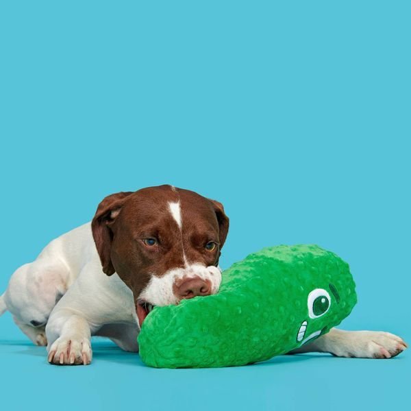 Big Dill Bill Pickle Dog Toy - Green - Dog Time Outlet