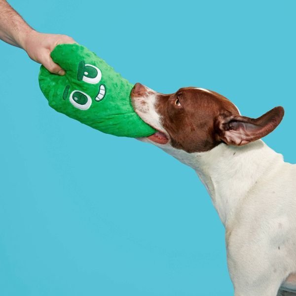 Big Dill Bill Pickle Dog Toy - Green - Dog Time Outlet