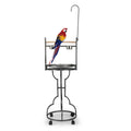 Bird Stand Rack with Solid Wood Perch, Feeding bowls, Waste Tray, Toy Hook and Casters, Black XH - Dog Time Outlet