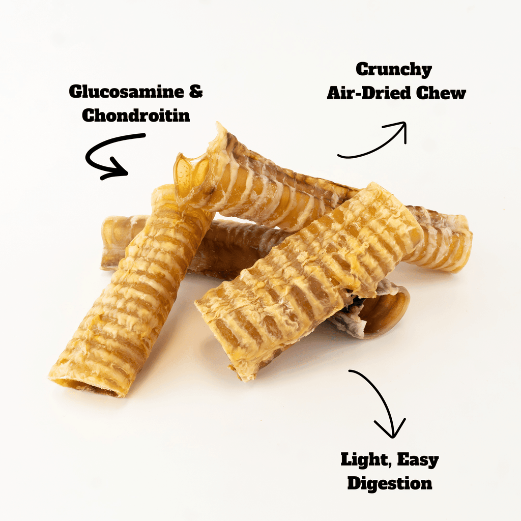 Bonez, Beef Trachea, 20 Sticks, 6 or 10 Inch - Dog Time Outlet