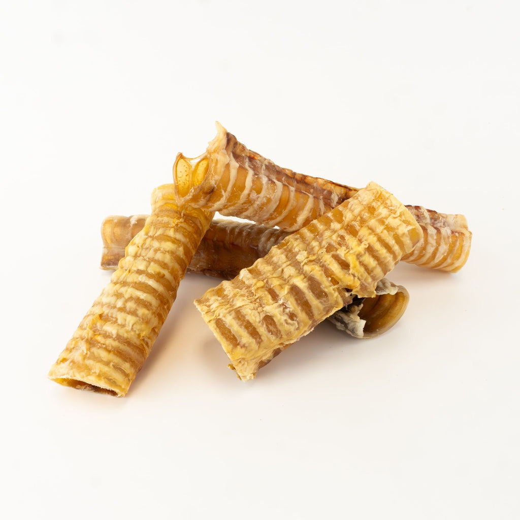 Bonez, Beef Trachea, 20 Sticks, 6 or 10 Inch - Dog Time Outlet