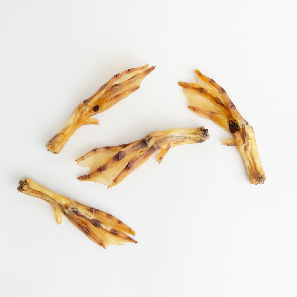 Bonez, Duck Feet, 20 Feet - Dog Time Outlet