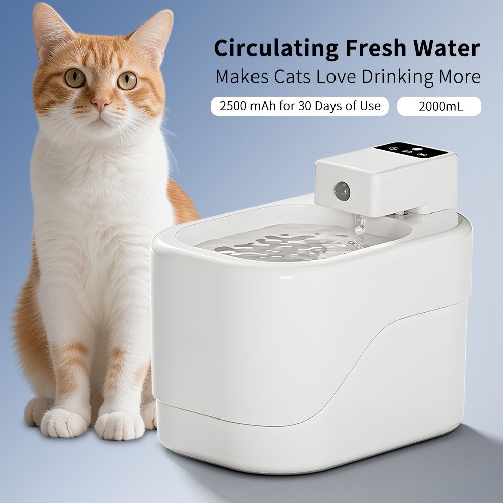 Cat Water Fountain, Pet Water Fountain - Dog Time Outlet