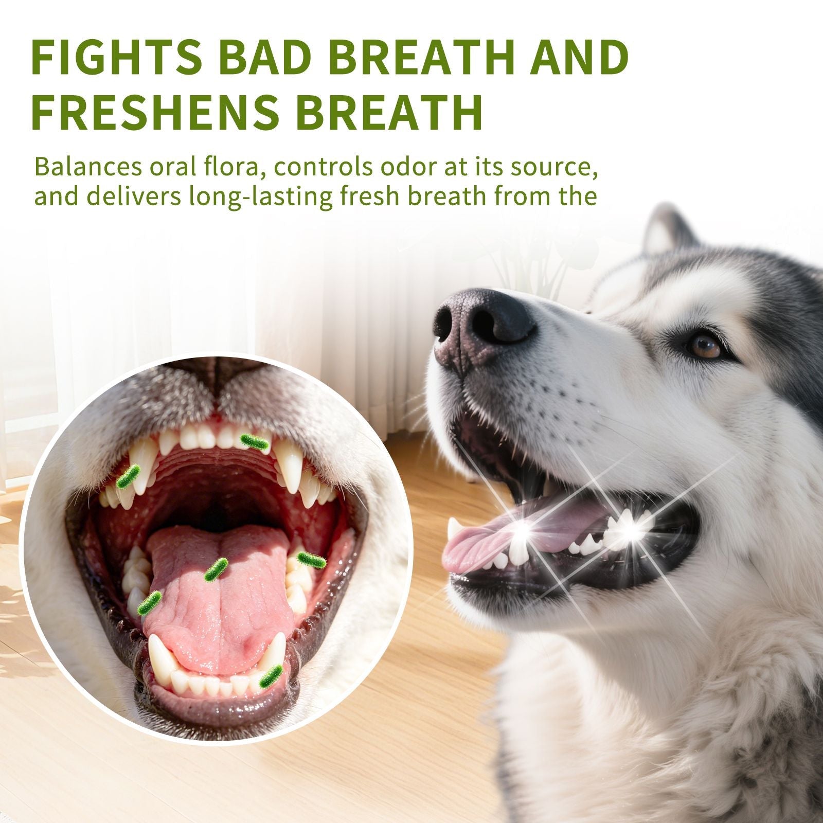 cats and dogs cats and dogs cats and dogs cats and dogs Dental Powder – Helps Clean Teeth & Reduce Tartar, Fresh Breath Support, Natural Dental Care for Dogs, Easy to Use - Dog Time Outlet