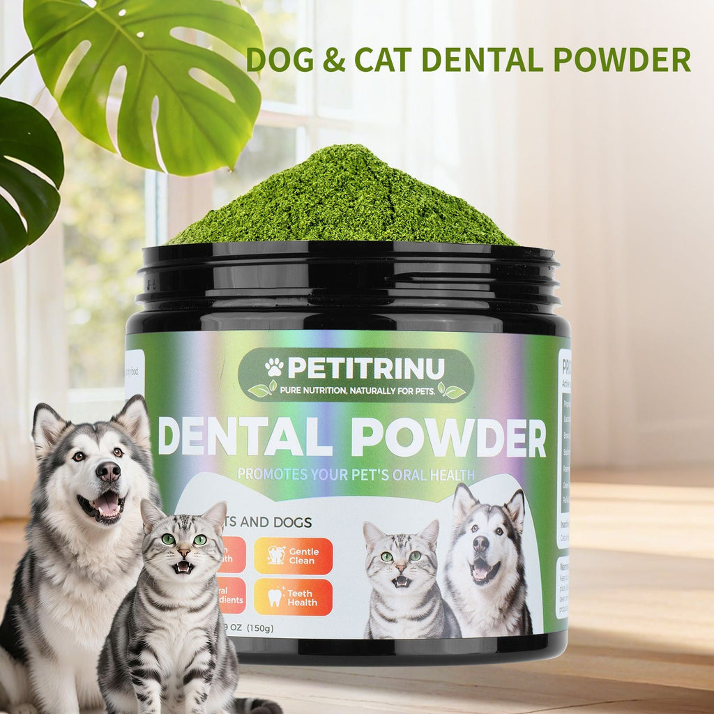 cats and dogs cats and dogs cats and dogs cats and dogs Dental Powder – Helps Clean Teeth & Reduce Tartar, Fresh Breath Support, Natural Dental Care for Dogs, Easy to Use - Dog Time Outlet