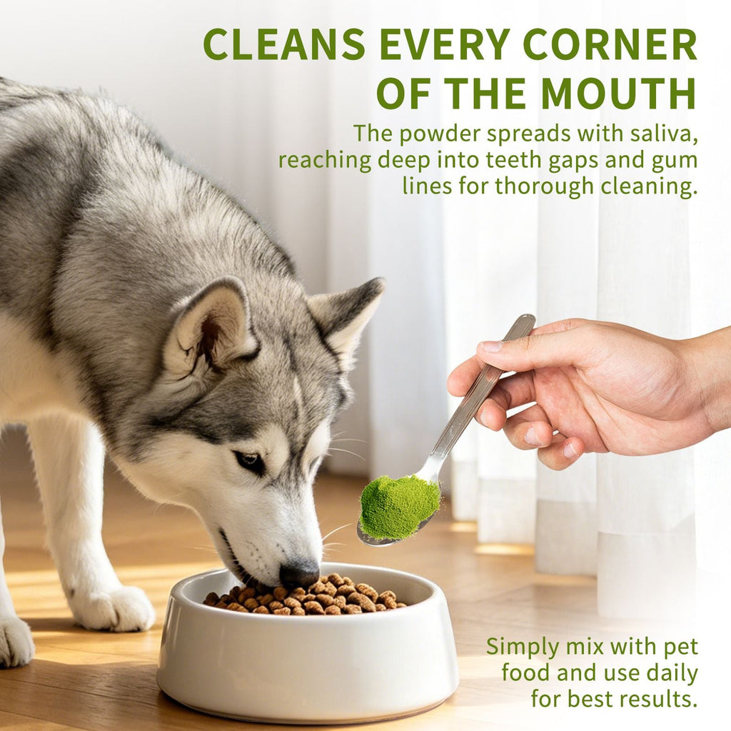 cats and dogs cats and dogs cats and dogs cats and dogs Dental Powder – Helps Clean Teeth & Reduce Tartar, Fresh Breath Support, Natural Dental Care for Dogs, Easy to Use - Dog Time Outlet