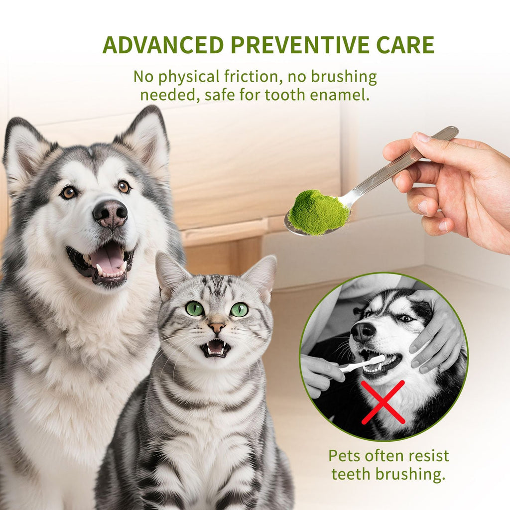 cats and dogs cats and dogs cats and dogs cats and dogs Dental Powder – Helps Clean Teeth & Reduce Tartar, Fresh Breath Support, Natural Dental Care for Dogs, Easy to Use - Dog Time Outlet