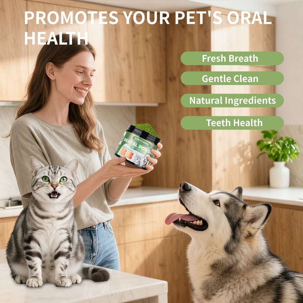 cats and dogs cats and dogs cats and dogs cats and dogs Dental Powder – Helps Clean Teeth & Reduce Tartar, Fresh Breath Support, Natural Dental Care for Dogs, Easy to Use - Dog Time Outlet