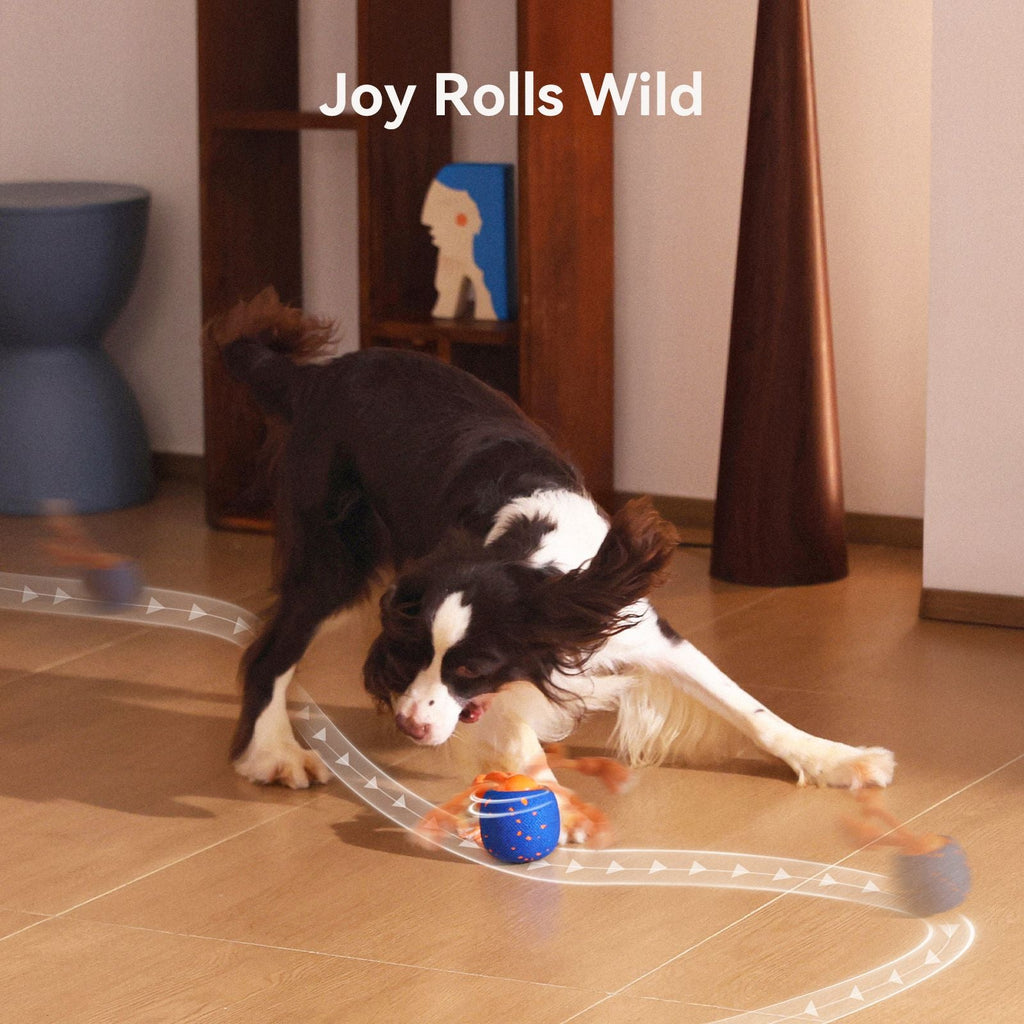Cheerble Interactive Dog Toy, Wicked Ball Rolly, Automatic Move, E - TPU Material, Rope and Barking Sounds, for Medium to Large Dogs - Dog Time Outlet