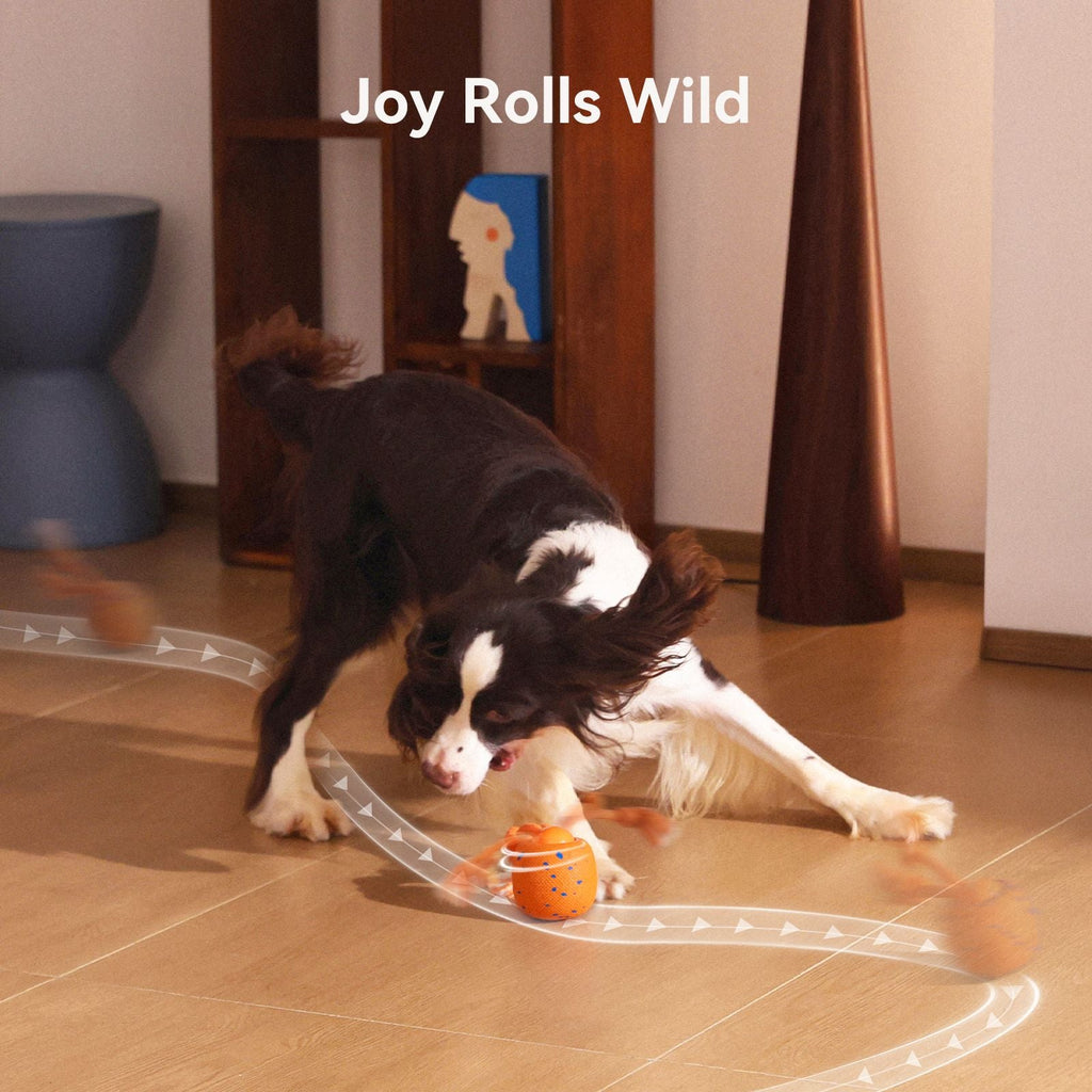 Cheerble Interactive Dog Toy, Wicked Ball Rolly, Automatic Move, E - TPU Material, Rope and Barking Sounds, for Medium to Large Dogs - Dog Time Outlet