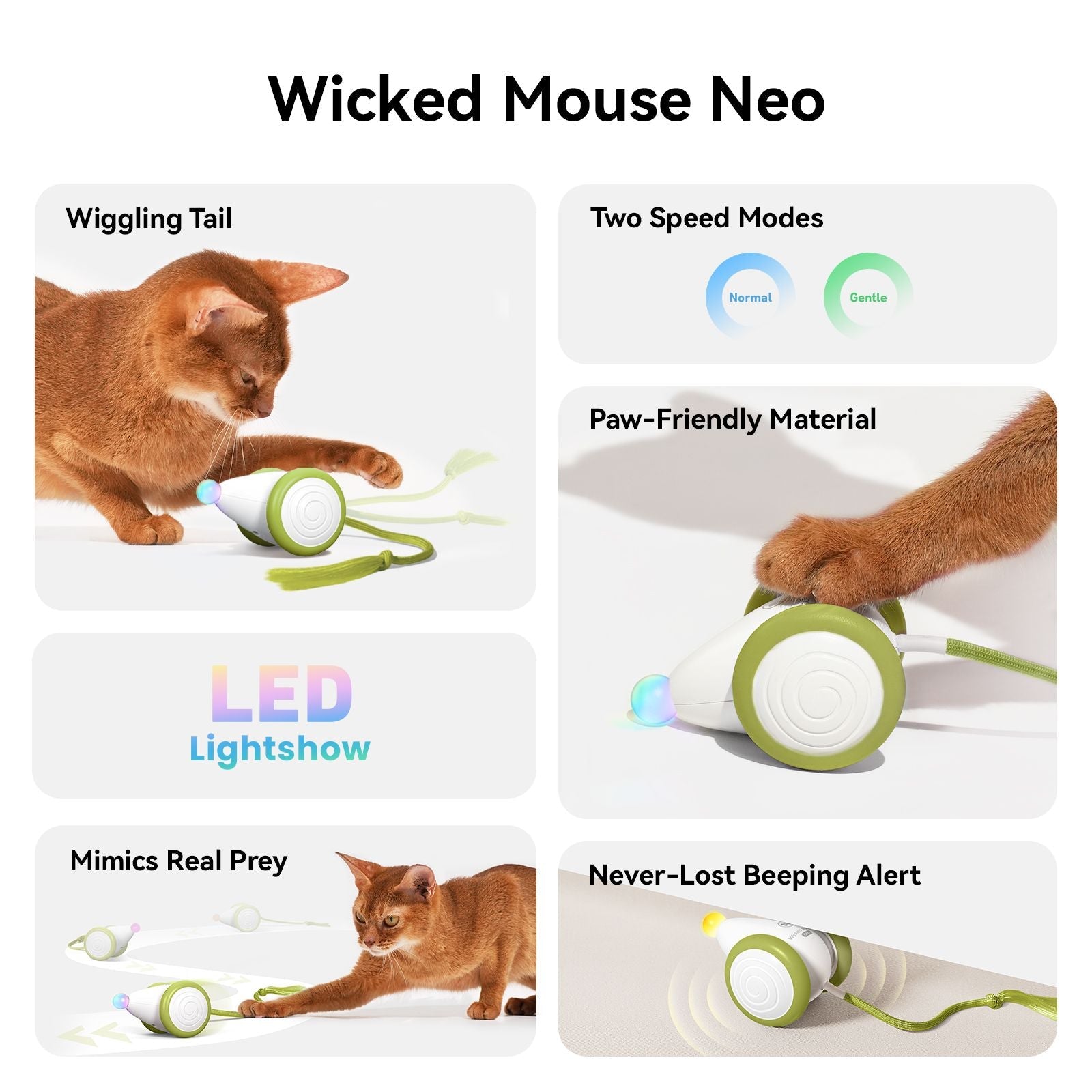 Cheerble Smart Interactive Toy, Wicked Mouse Neo, Automatic Running with Tail and Lights, Rechargeable for Bored Adult Felines - Dog Time Outlet