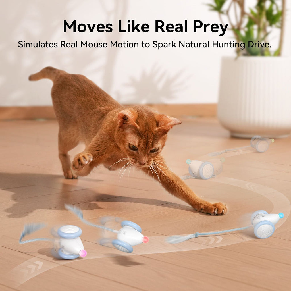 Cheerble Smart Interactive Toy, Wicked Mouse Neo, Automatic Running with Tail and Lights, Rechargeable for Bored Adult Felines - Dog Time Outlet