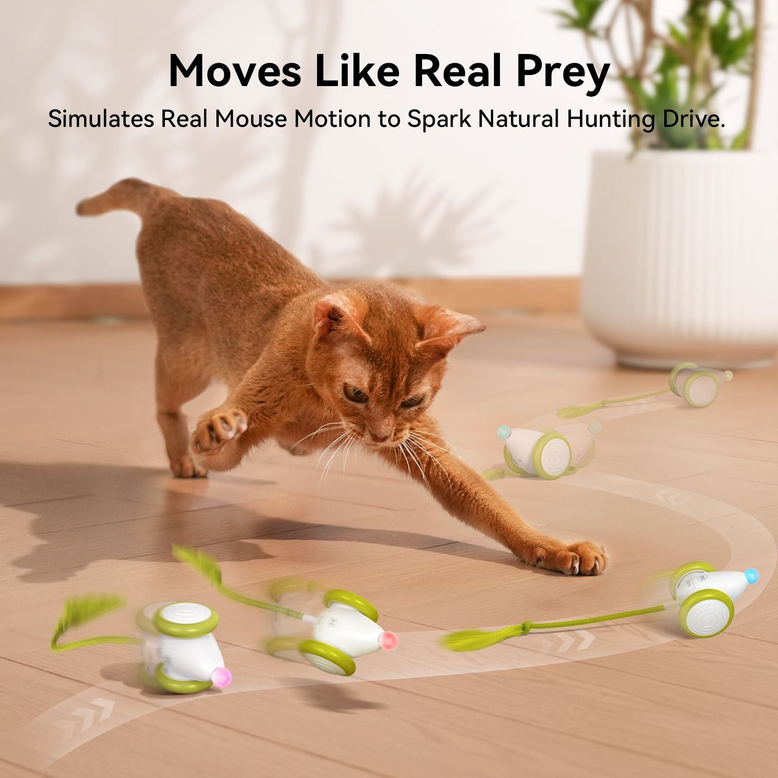 Cheerble Smart Interactive Toy, Wicked Mouse Neo, Automatic Running with Tail and Lights, Rechargeable for Bored Adult Felines - Dog Time Outlet