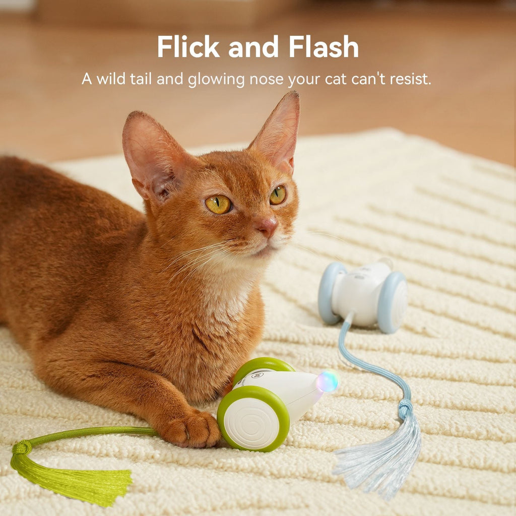 Cheerble Smart Interactive Toy, Wicked Mouse Neo, Automatic Running with Tail and Lights, Rechargeable for Bored Adult Felines - Dog Time Outlet