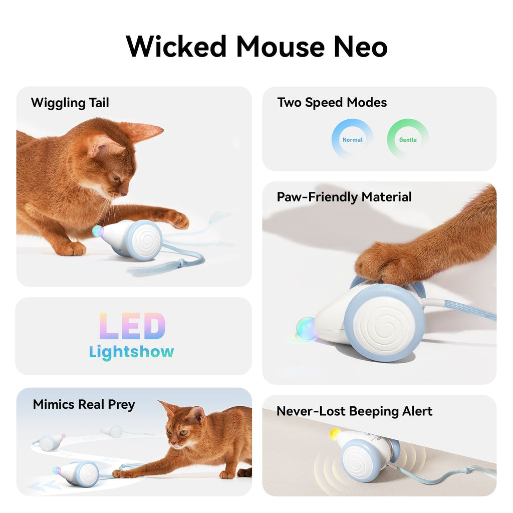 Cheerble Smart Interactive Toy, Wicked Mouse Neo, Automatic Running with Tail and Lights, Rechargeable for Bored Adult Felines - Dog Time Outlet