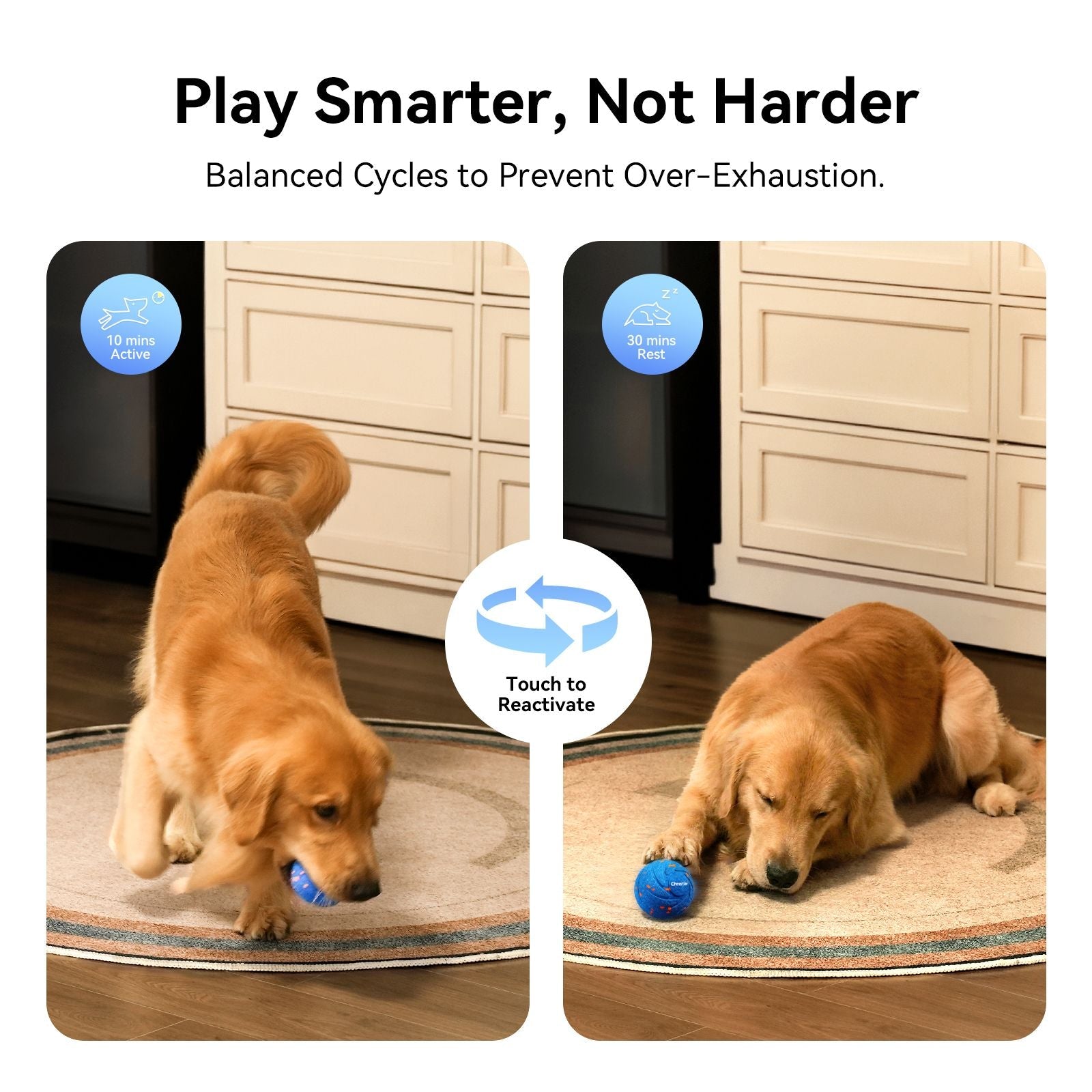 Cheerble Wicked Ball Air Automatic moving IPX7 Waterproof Active Rolling Ball Smart Interactive Dog Toy - Dog Time Outlet