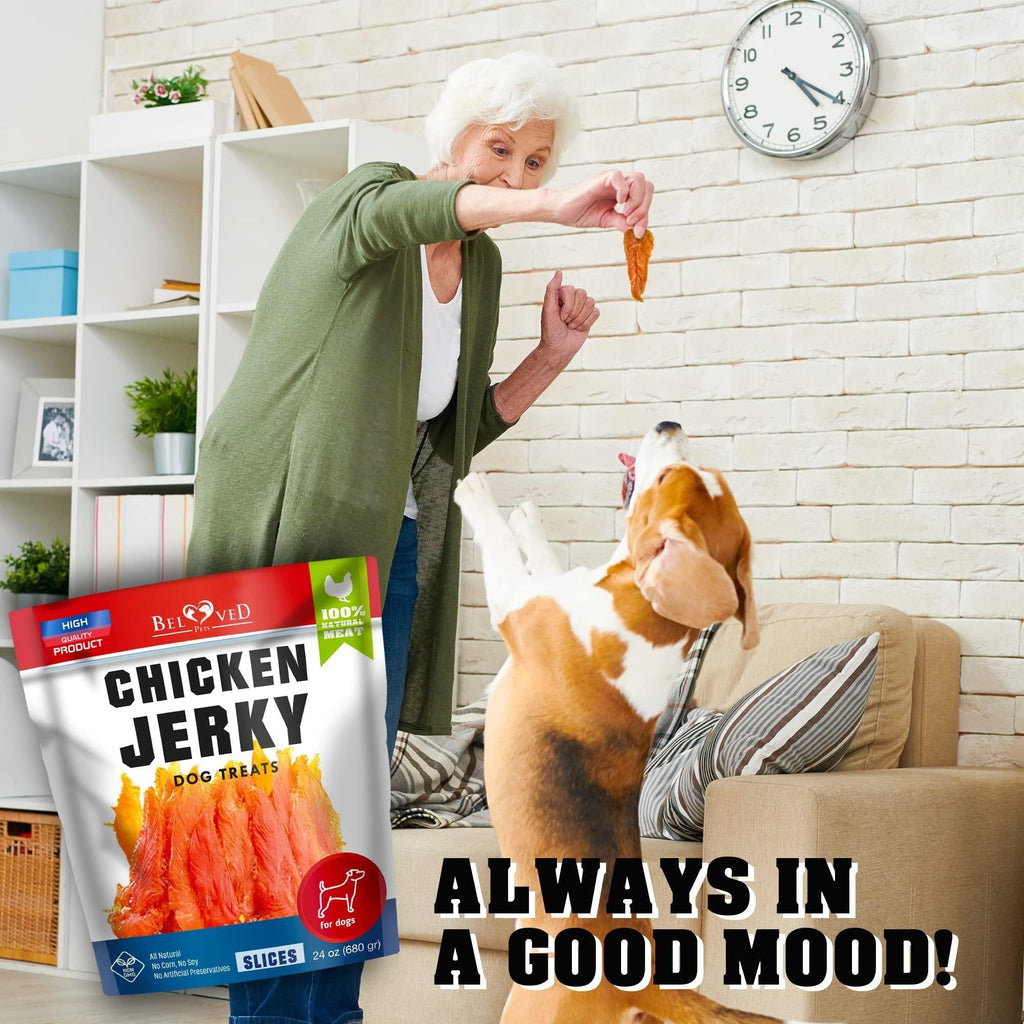 Chicken Jerky Dog Treats 1.5 Lb Human Grade Pet Snacks Grain Free Organic Meat All Natural High Protein Dried Strips Best Chews for Training Small & Large Dogs - Dog Time Outlet