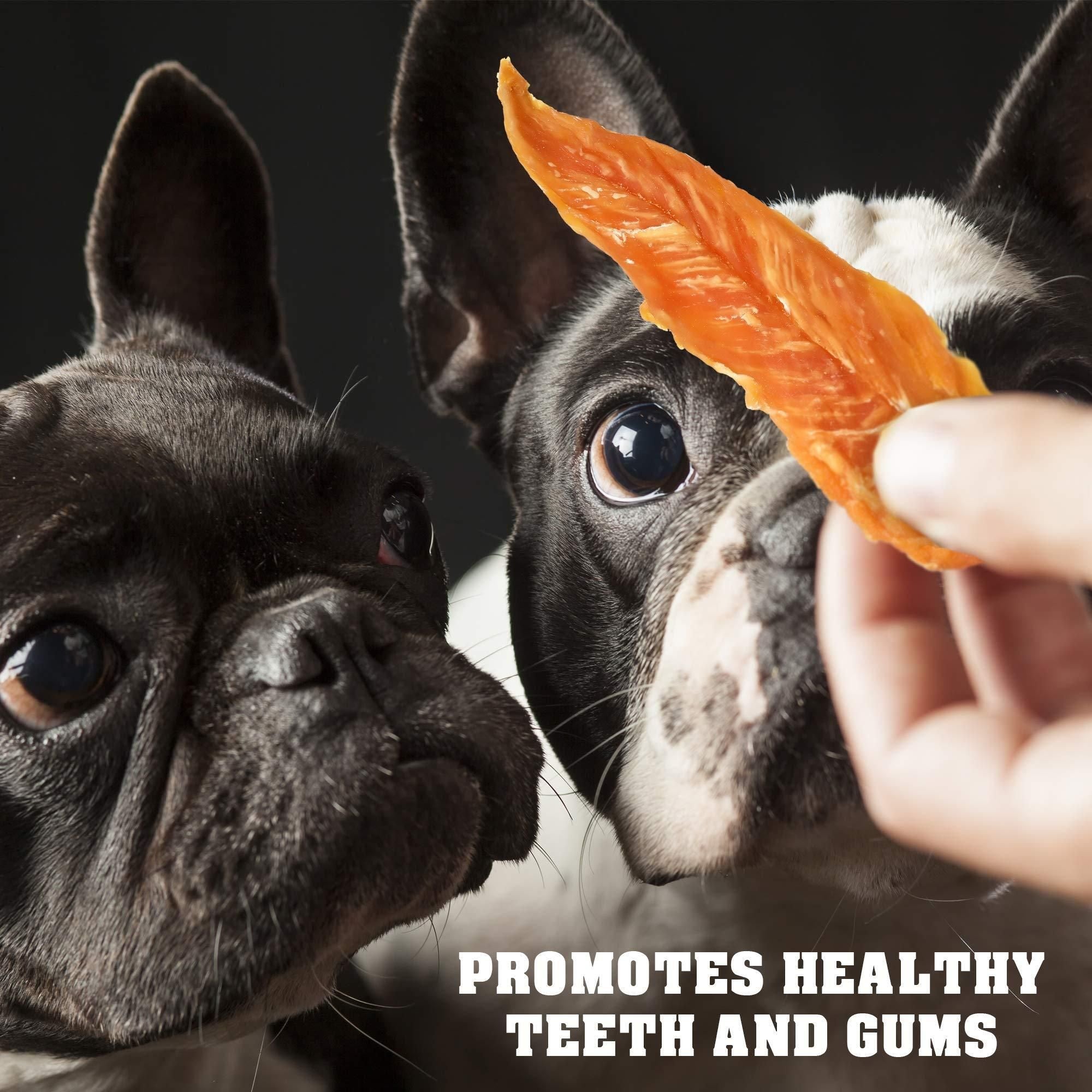 Chicken Jerky Dog Treats 1.5 Lb Human Grade Pet Snacks Grain Free Organic Meat All Natural High Protein Dried Strips Best Chews for Training Small & Large Dogs - Dog Time Outlet