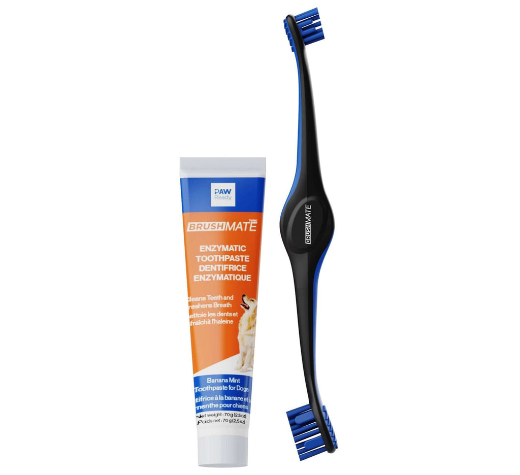 Combo BrushMate Pet Toothbrush & Medium BiteBlock - Dog Oral Care - Dog Time Outlet