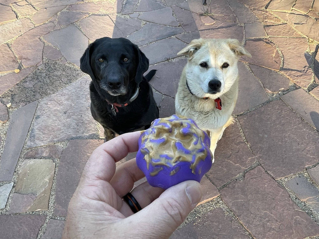 Cross Bones Bully Stick Holder &amp; Chew Toy for Heavy Chewers | Purple | USA Made - Dog Time Outlet