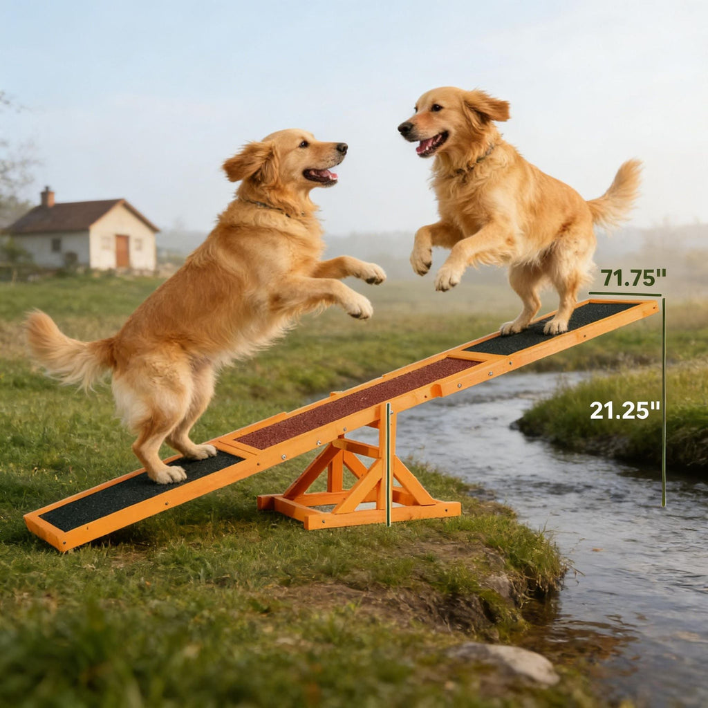 Dog Agility Training Seesaw Toy – Wooden Balance Equipment for Fun Run Games and Exercise - Dog Time Outlet