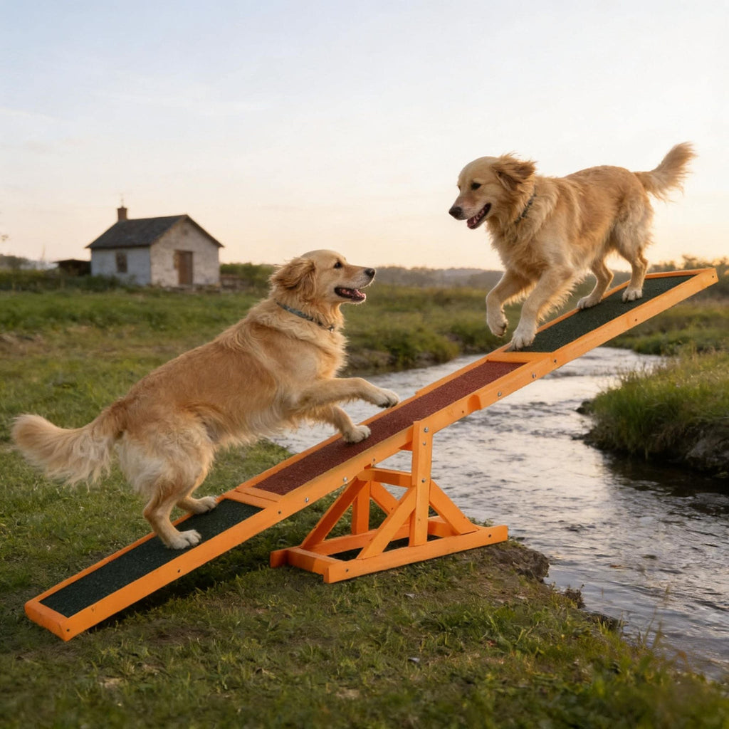 Dog Agility Training Seesaw Toy – Wooden Balance Equipment for Fun Run Games and Exercise - Dog Time Outlet