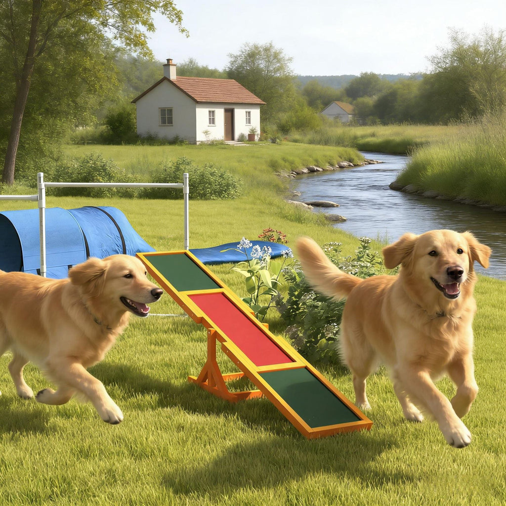 Dog Agility Training Seesaw Toy – Wooden Balance Equipment for Fun Run Games and Exercise - Dog Time Outlet