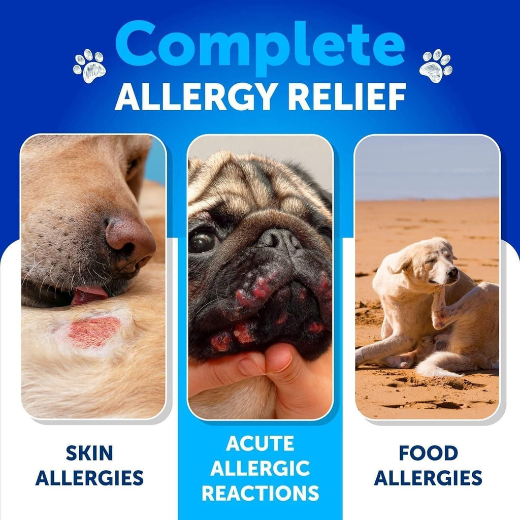 Dog Allergy Relief Chews Itching Skin Relief for Dogs Fish Oil Omega 3 Seasonal Allergies Pills Skin & Coat Anti ItchHot Spots Treatment Canine Immune Health Supplement 120 Soft Treats - Dog Time Outlet
