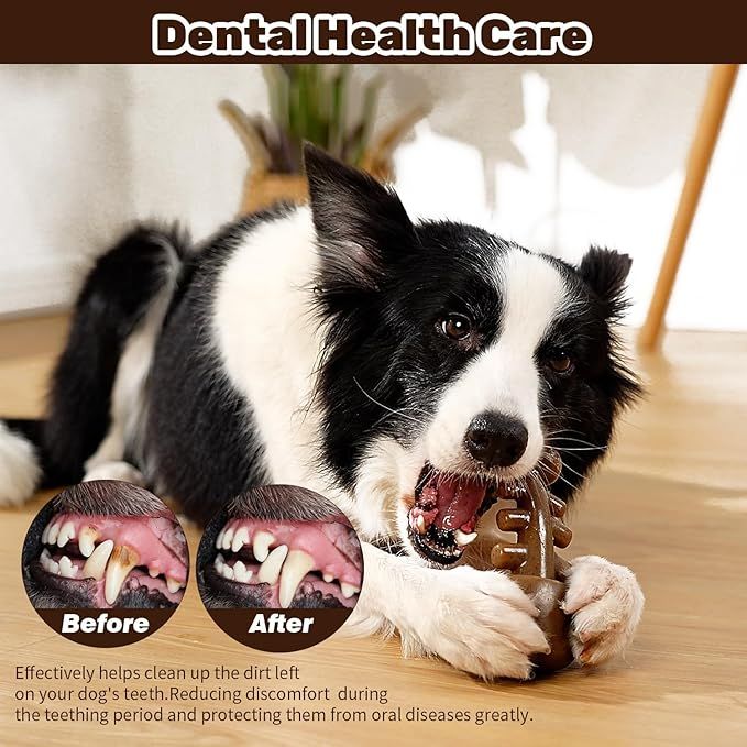 Dog Chew Toys for Aggressive Chewers - Indestructible Fish Bone Toys, Durable Entertainment for Medium/Large Breed Dogs - Dog Time Outlet