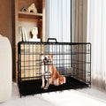 Dog Crate, 36 Inch Medium Dog Cage with Divider and Plastic Leak - Proof Pan Tray, Double Door Folding Metal Wire Cage for Indoor, Outdoor, and Travel, Made in Vietnam - Dog Time Outlet