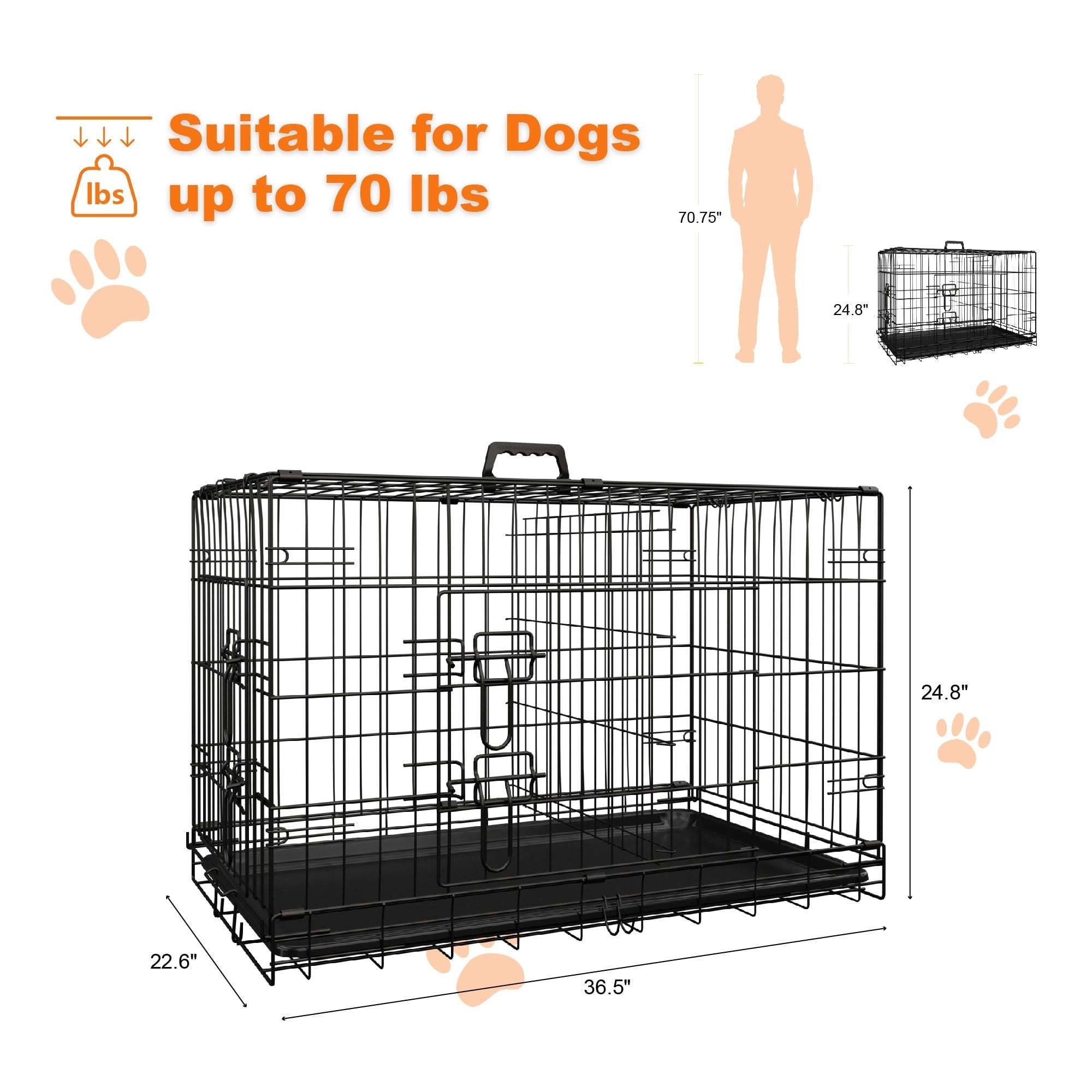 Dog Crate, 36 Inch Medium Dog Cage with Divider and Plastic Leak - Proof Pan Tray, Double Door Folding Metal Wire Cage for Indoor, Outdoor, and Travel, Made in Vietnam - Dog Time Outlet