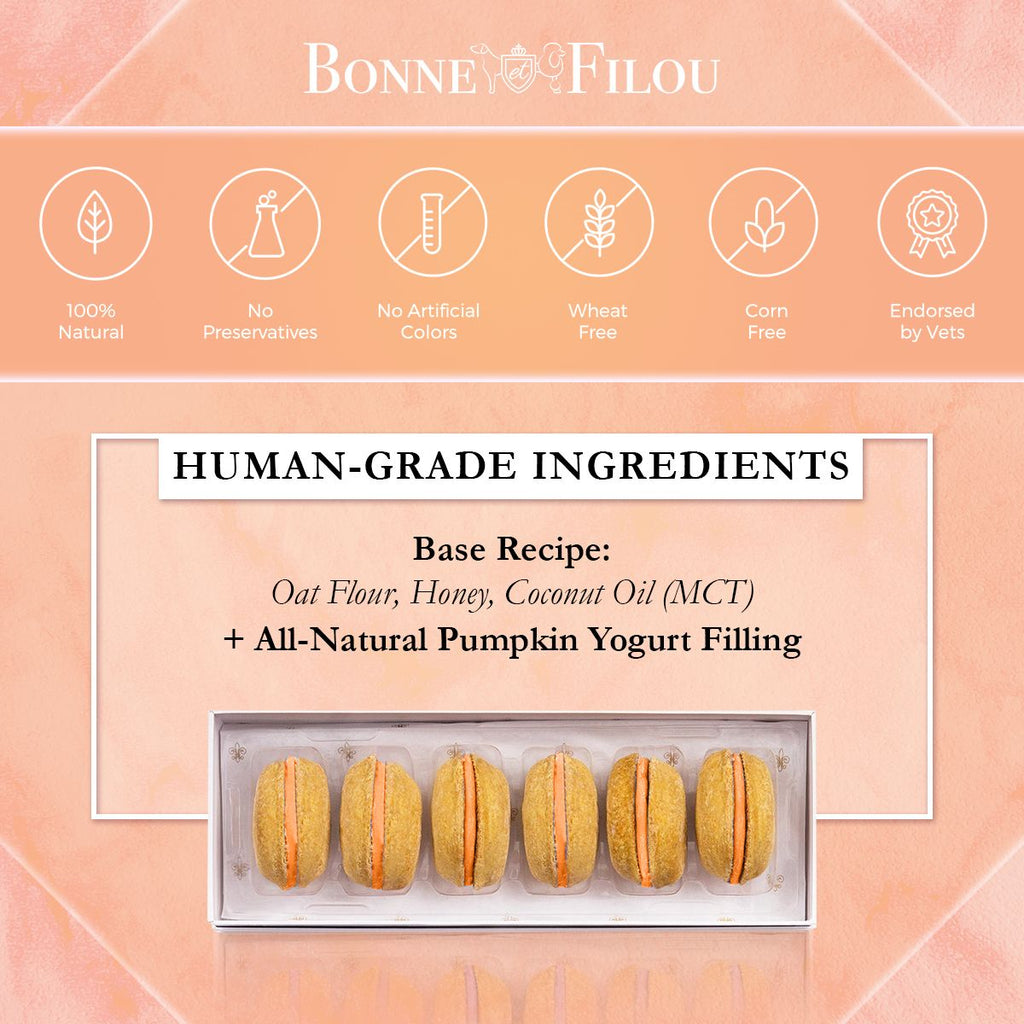 Dog Macarons - Count of 6 (Dog Treats | Dog Gifts) - Dog Time Outlet