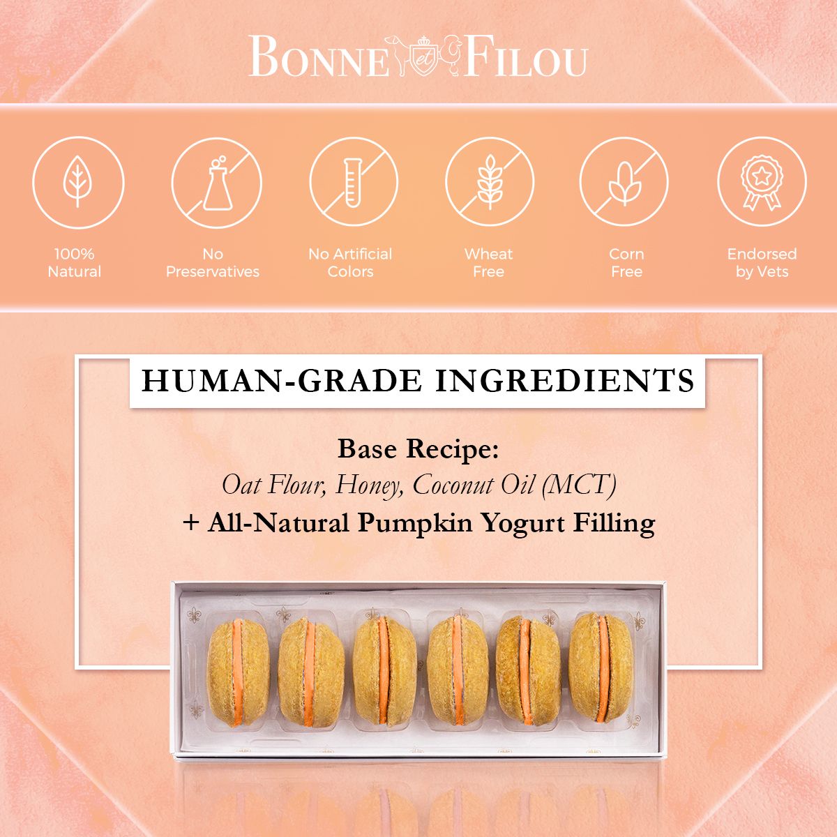 Dog Macarons - Count of 6 (Dog Treats | Dog Gifts) - Dog Time Outlet