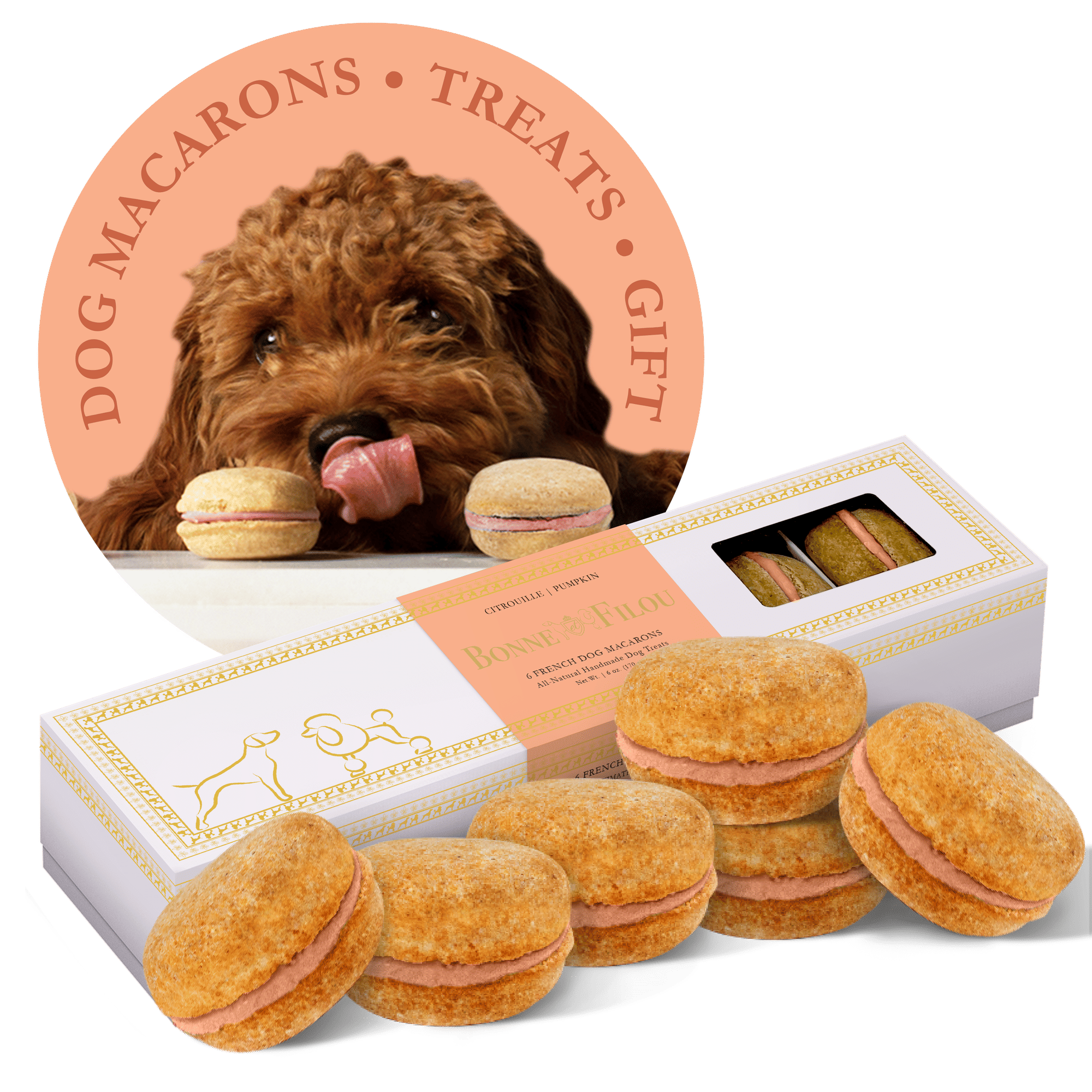 Dog Macarons - Count of 6 (Dog Treats | Dog Gifts) - Dog Time Outlet