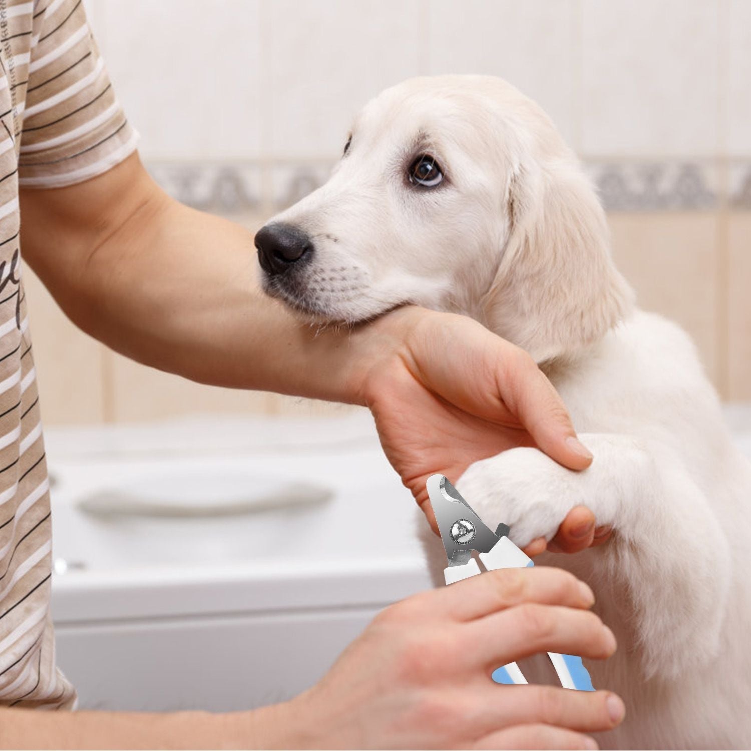 Dog Nail Clippers Pet Cat Nail Toe Trimmer Stainless Steel Grooming Tool Free Nail File Small Medium Large Dogs L Size - Dog Time Outlet