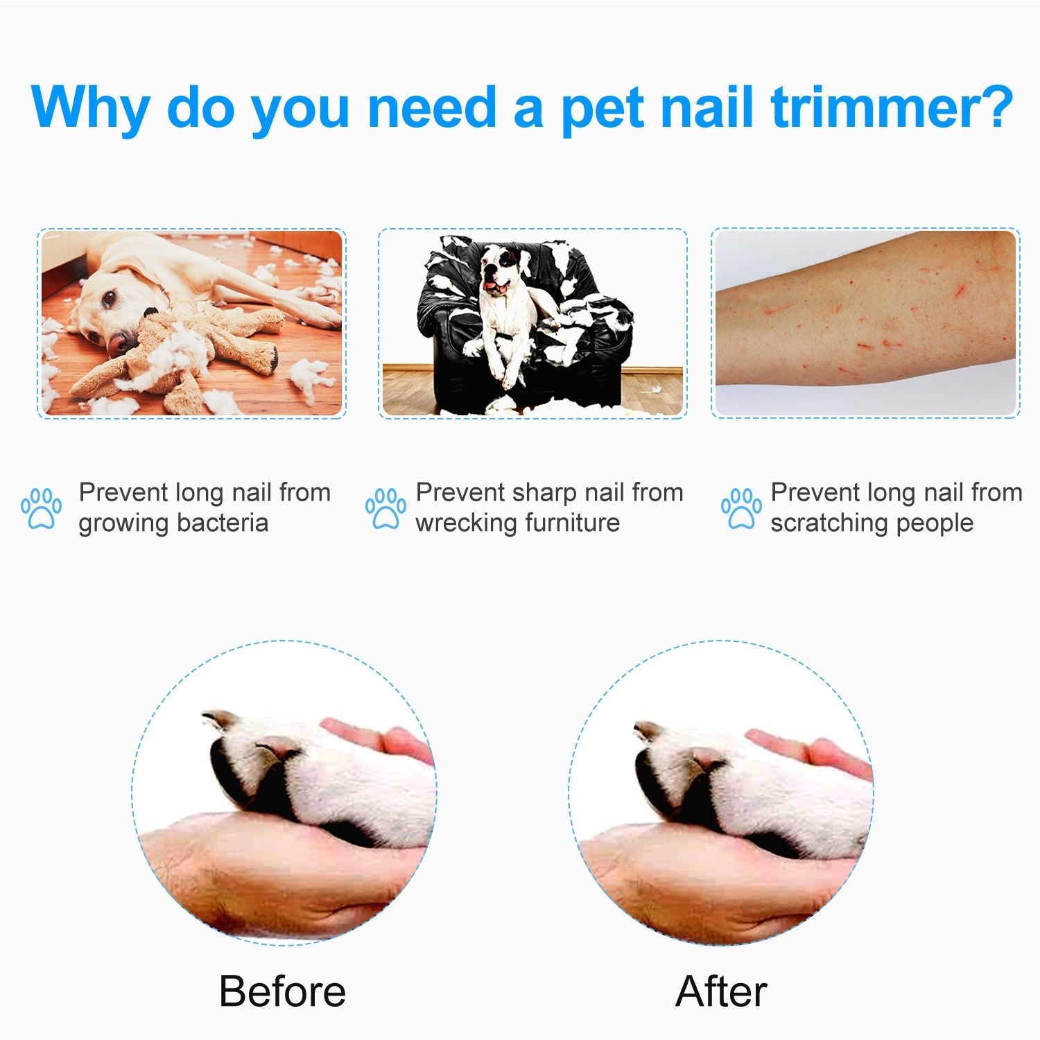 Dog Nail Clippers Pet Cat Nail Toe Trimmer Stainless Steel Grooming Tool Free Nail File Small Medium Large Dogs L Size - Dog Time Outlet