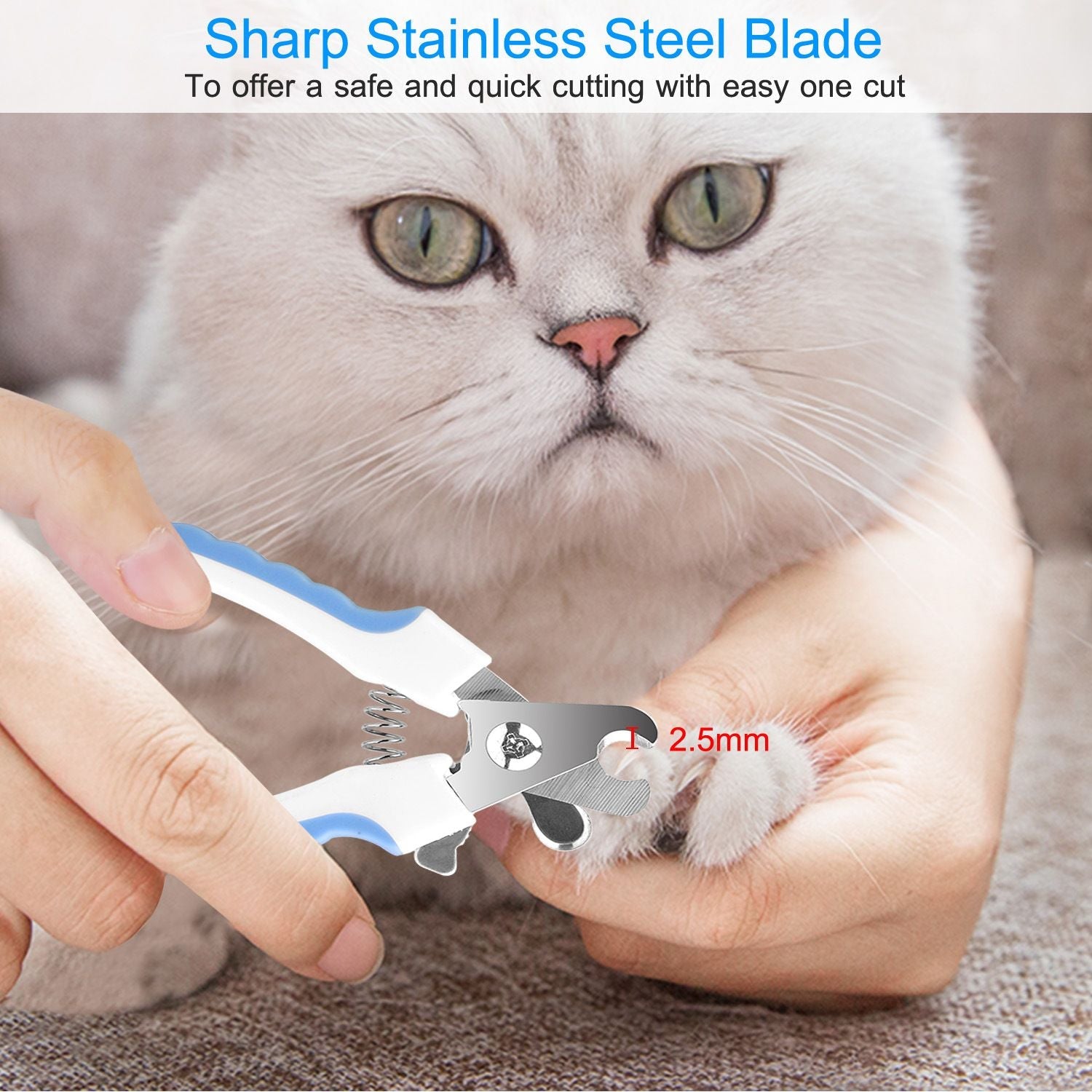 Dog Nail Clippers Pet Cat Nail Toe Trimmer Stainless Steel Grooming Tool Free Nail File Small Medium Large Dogs L Size - Dog Time Outlet