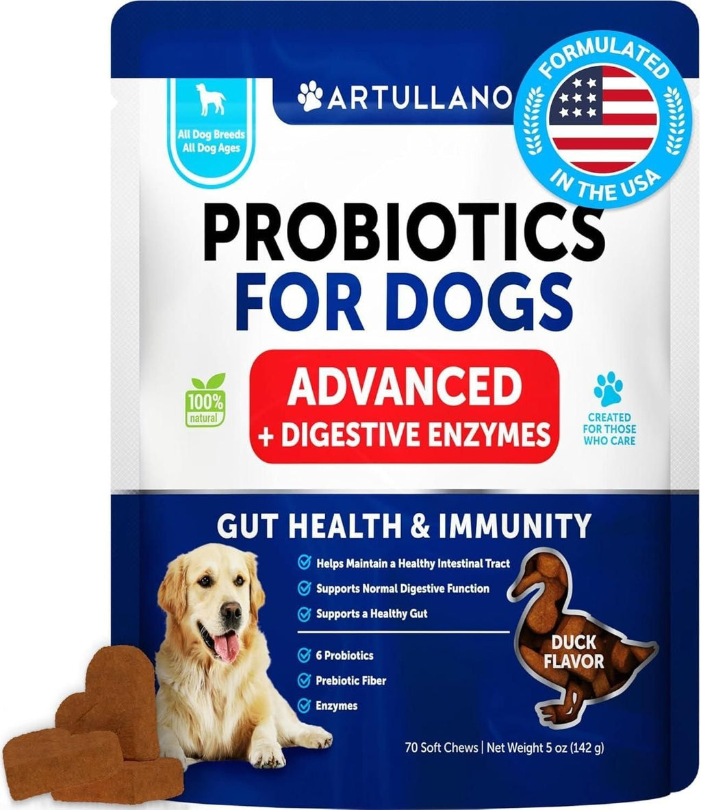 Dog Probiotics Gut Health Itchy Skin Allergies & Immunity Support Yeast Balance Dog Probiotic Chews with Prebiotics Dog Probiotics and Digestive Enzymes Reduce Diarrhea - Dog Time Outlet