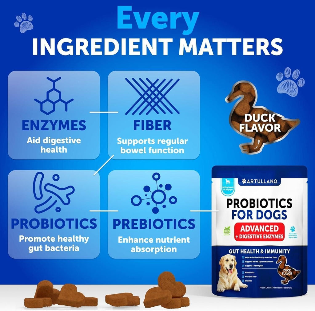 Dog Probiotics Gut Health Itchy Skin Allergies & Immunity Support Yeast Balance Dog Probiotic Chews with Prebiotics Dog Probiotics and Digestive Enzymes Reduce Diarrhea - Dog Time Outlet