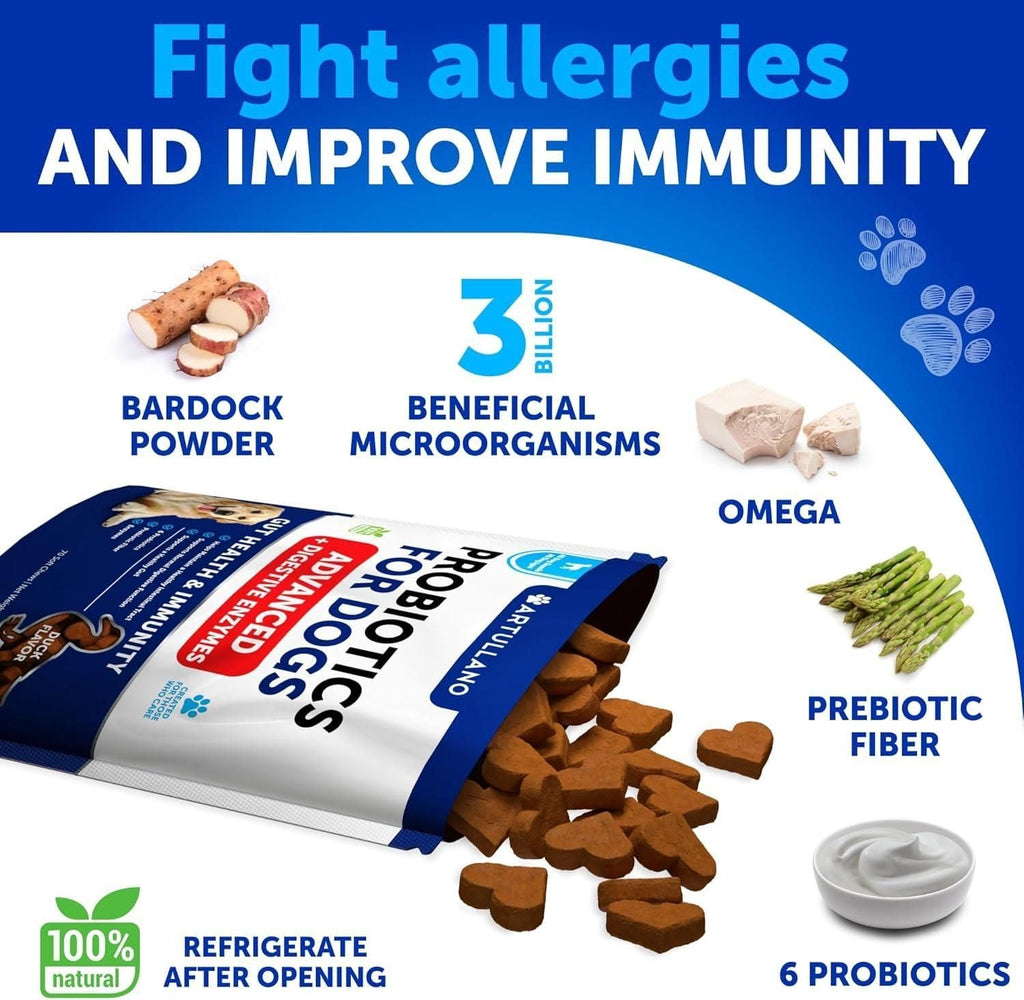 Dog Probiotics Gut Health Itchy Skin Allergies & Immunity Support Yeast Balance Dog Probiotic Chews with Prebiotics Dog Probiotics and Digestive Enzymes Reduce Diarrhea - Dog Time Outlet