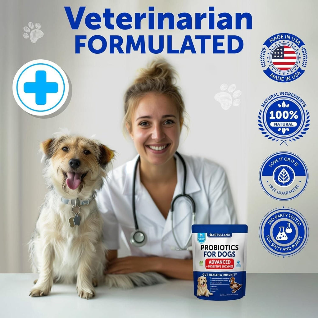 Dog Probiotics Gut Health Itchy Skin Allergies & Immunity Support Yeast Balance Dog Probiotic Chews with Prebiotics Dog Probiotics and Digestive Enzymes Reduce Diarrhea - Dog Time Outlet