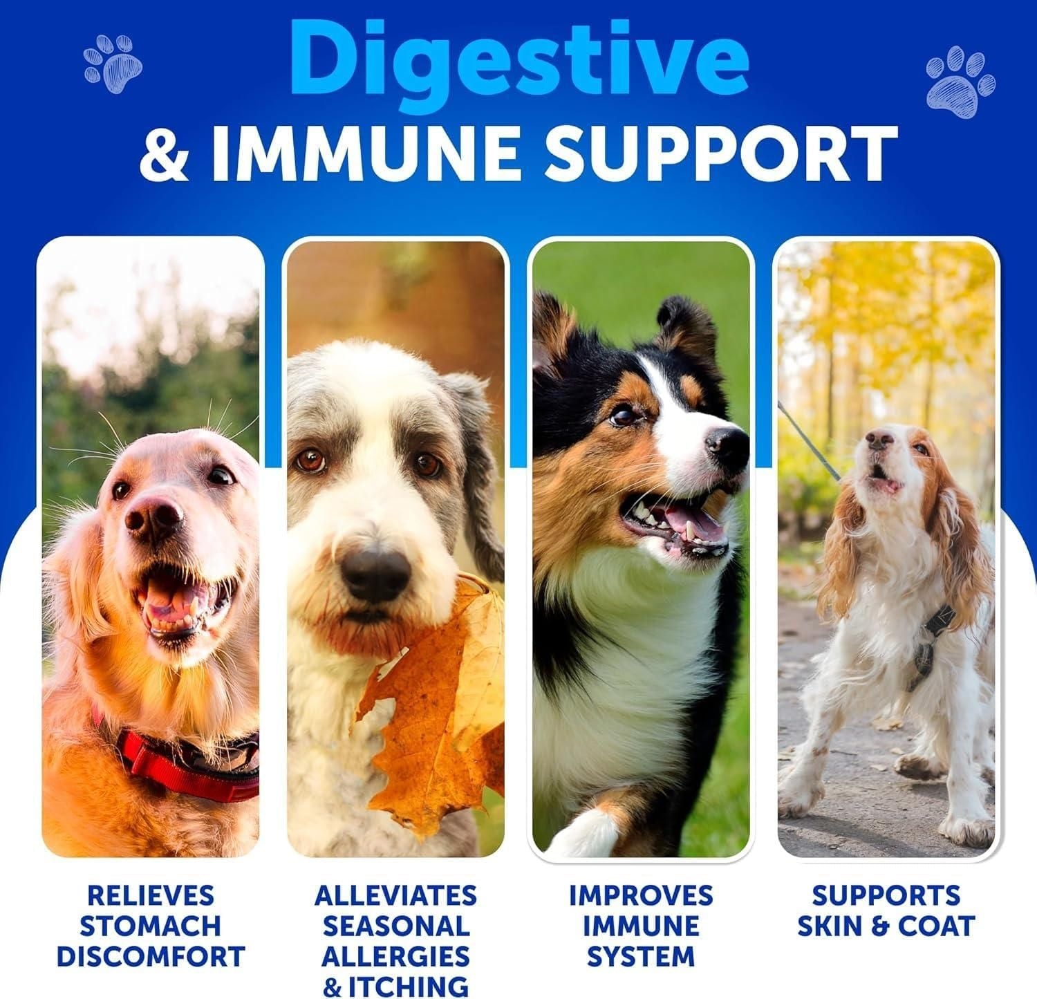 Dog Probiotics Gut Health Itchy Skin Allergies & Immunity Support Yeast Balance Dog Probiotic Chews with Prebiotics Dog Probiotics and Digestive Enzymes Reduce Diarrhea - Dog Time Outlet